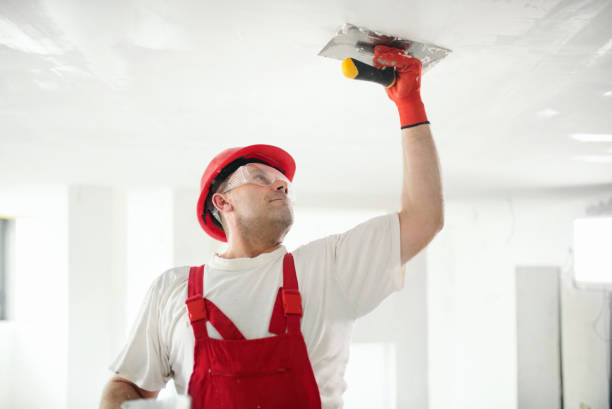 Best Drywall Installation  in Decatur, MI