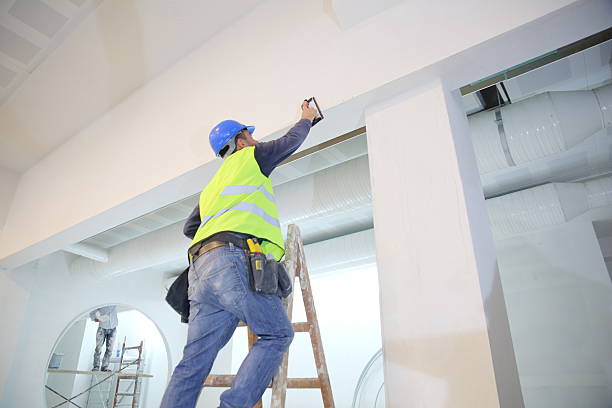 Best Fire-Damaged Drywall Repair  in Decatur, MI